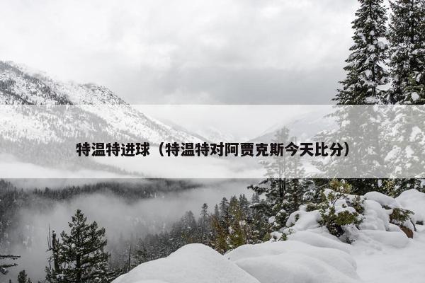 特温特进球（特温特对阿贾克斯今天比分）
