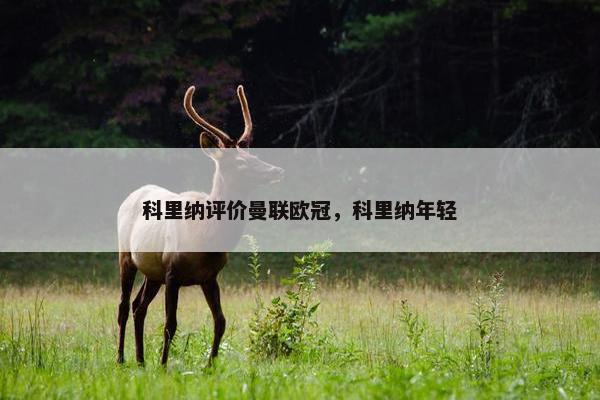 科里纳评价曼联欧冠，科里纳年轻