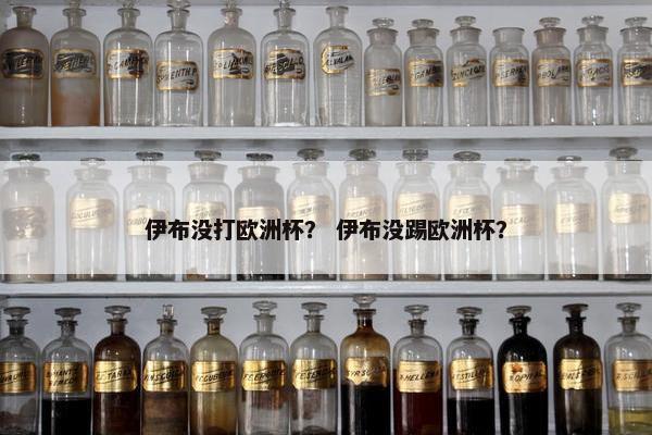 伊布没打欧洲杯？ 伊布没踢欧洲杯？