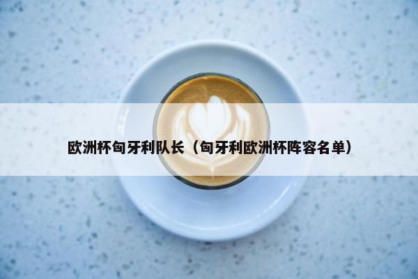 欧洲杯匈牙利队长（匈牙利欧洲杯阵容名单）