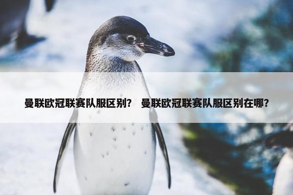 曼联欧冠联赛队服区别？ 曼联欧冠联赛队服区别在哪？
