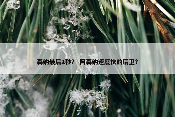 森纳最后2秒？ 阿森纳速度快的后卫？