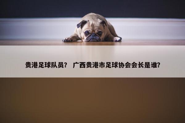 贵港足球队员？ 广西贵港市足球协会会长是谁？