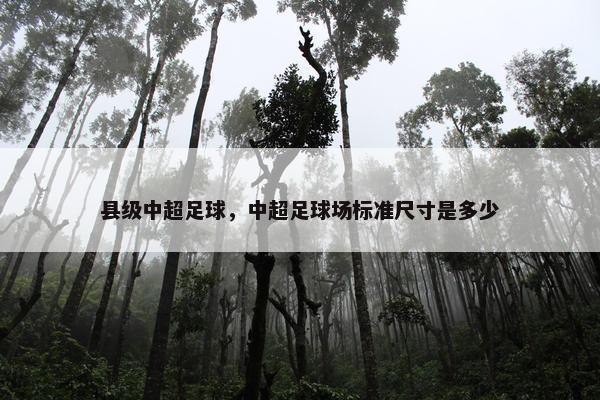 县级中超足球，中超足球场标准尺寸是多少