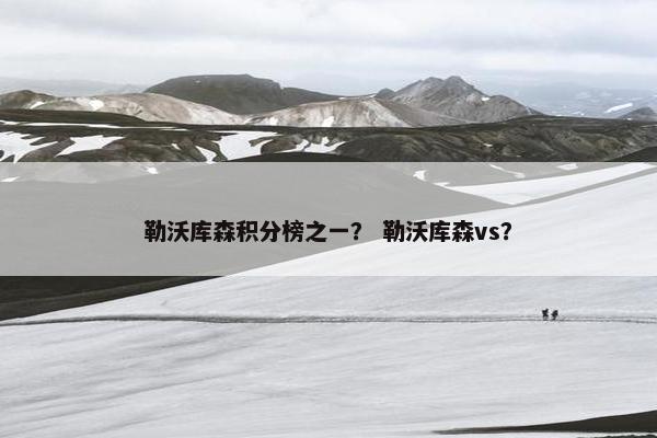 勒沃库森积分榜之一？ 勒沃库森vs？