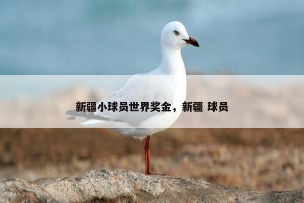 新疆小球员世界奖金，新疆 球员