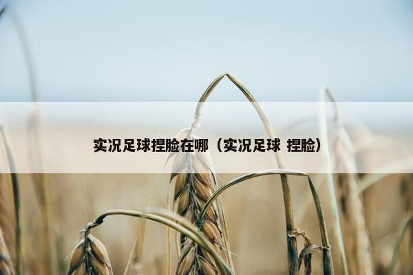 实况足球捏脸在哪（实况足球 捏脸）
