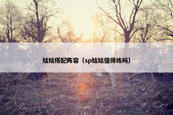 姑姑搭配阵容（sp姑姑值得练吗）