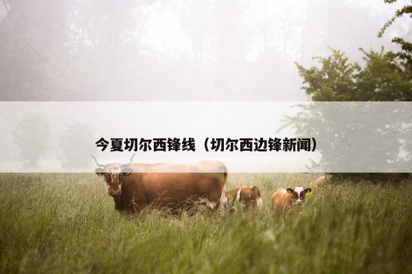 今夏切尔西锋线(切尔西边锋新闻) 今夏切尔西锋线(切尔西边锋新闻)