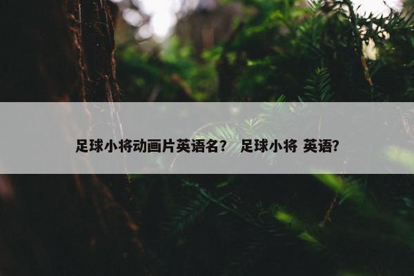 足球小将动画片英语名？ 足球小将 英语？