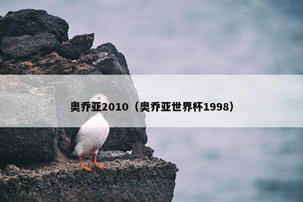 奥乔亚2010（奥乔亚世界杯1998）