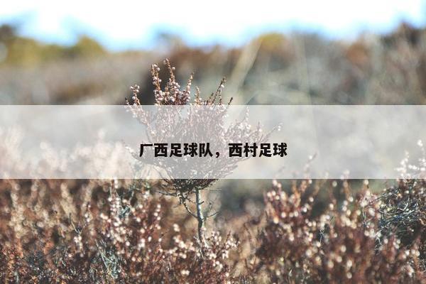 厂西足球队，西村足球