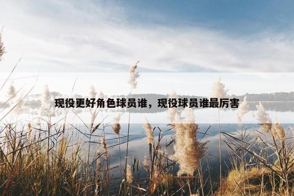 现役更好角色球员谁，现役球员谁最厉害