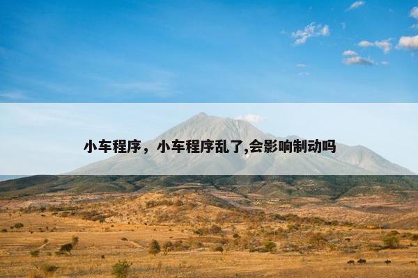 小车程序，小车程序乱了,会影响制动吗