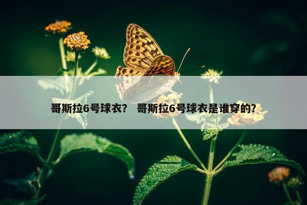 哥斯拉6号球衣？ 哥斯拉6号球衣是谁穿的？