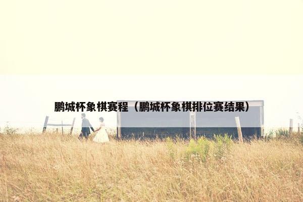 鹏城杯象棋赛程（鹏城杯象棋排位赛结果）