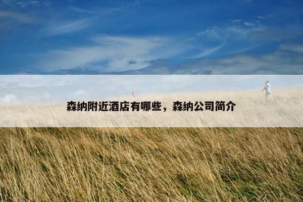 森纳附近酒店有哪些,森纳公司简介 森纳附近酒店有哪些,森纳公司简介