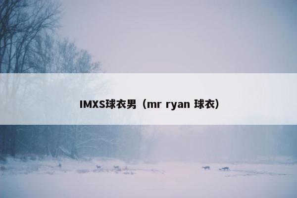 IMXS球衣男（mr ryan 球衣）