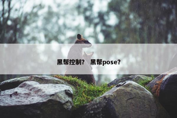 黑帮控制？ 黑帮pose？