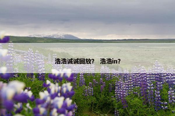 浩浩诚诚回放？ 浩浩in？