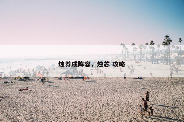 烛养成阵容，烛芯 攻略