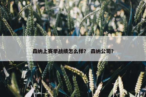 森纳上赛季战绩怎么样？ 森纳公司？