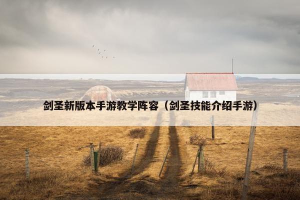 剑圣新版本手游教学阵容（剑圣技能介绍手游）