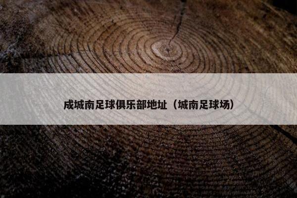 成城南足球俱乐部地址(城南足球场) 成城南足球俱乐部地址(城南足球场)