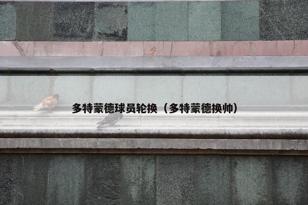 多特蒙德球员轮换(多特蒙德换帅) 多特蒙德球员轮换(多特蒙德换帅)