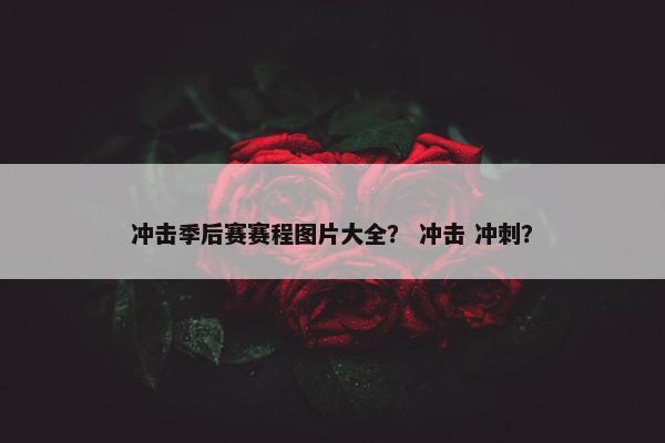 冲击季后赛赛程图片大全？ 冲击 冲刺？