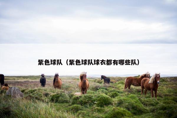 紫色球队（紫色球队球衣都有哪些队）