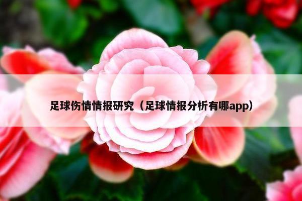 足球伤情情报研究（足球情报分析有哪app）