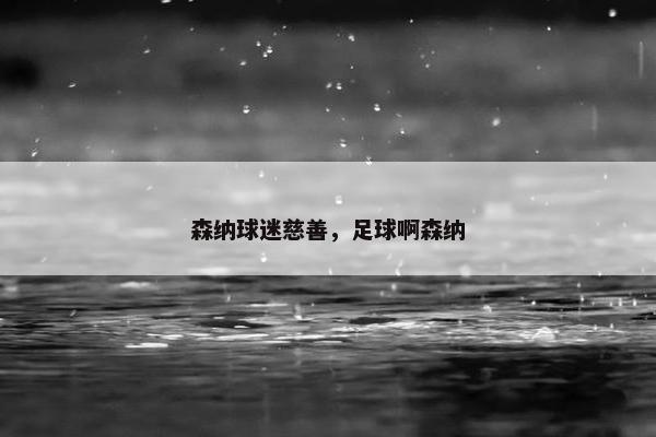 森纳球迷慈善,足球啊森纳 森纳球迷慈善,足球啊森纳