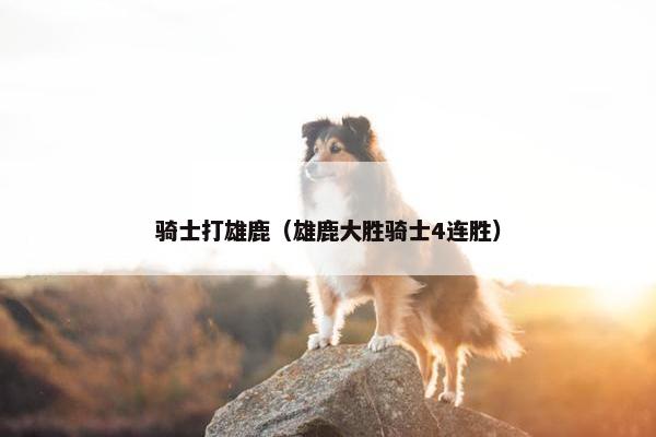 骑士打雄鹿（雄鹿大胜骑士4连胜）