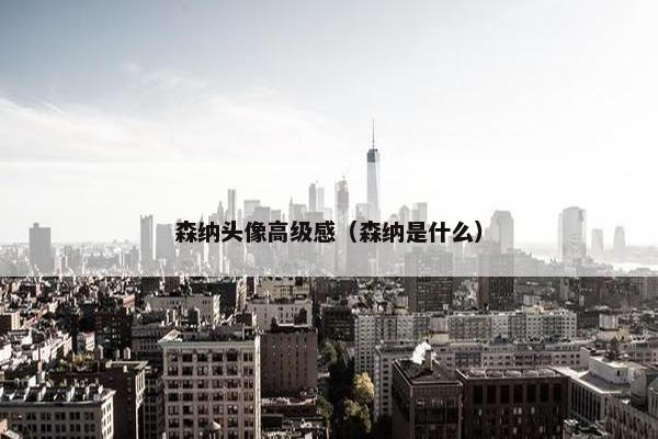 森纳头像高级感（森纳是什么）