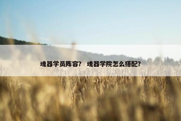 魂器学员阵容? 魂器学院怎么搭配? 魂器学员阵容? 魂器学院怎么搭配?