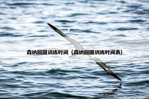 森纳回国训练时间（森纳回国训练时间表）