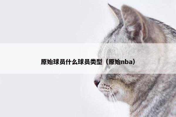原始球员什么球员类型（原始nba）