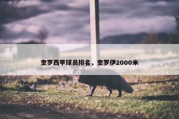 奎罗西甲球员排名，奎罗伊2000米