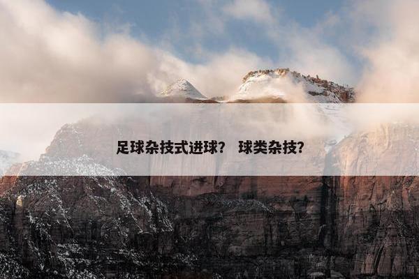 足球杂技式进球？ 球类杂技？