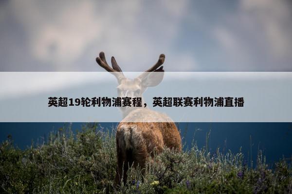 英超19轮利物浦赛程，英超联赛利物浦直播