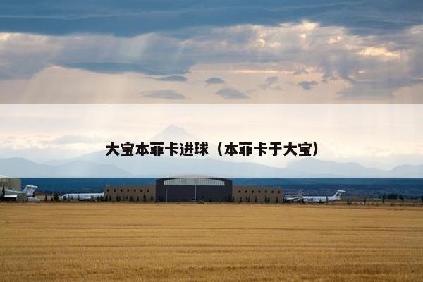 大宝本菲卡进球(本菲卡于大宝) 大宝本菲卡进球(本菲卡于大宝)