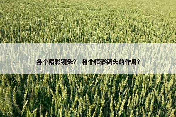 各个精彩镜头? 各个精彩镜头的作用? 各个精彩镜头? 各个精彩镜头的作用?