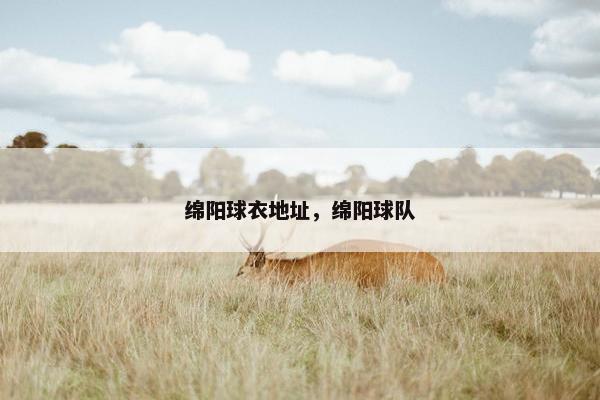 绵阳球衣地址，绵阳球队