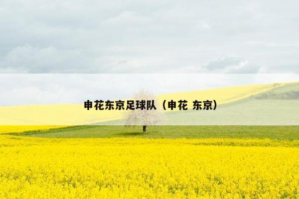 申花东京足球队（申花 东京）