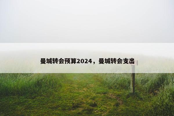 曼城转会预算2024，曼城转会支出