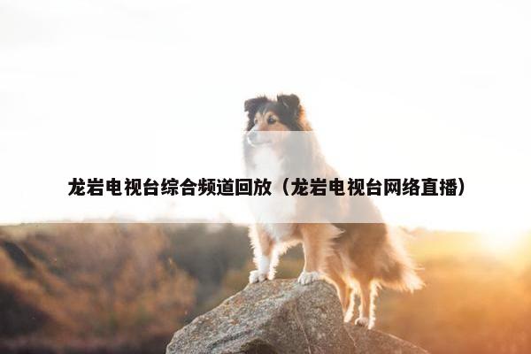 龙岩电视台综合频道回放(龙岩电视台网络直播) 龙岩电视台综合频道回放(龙岩电视台网络直播)
