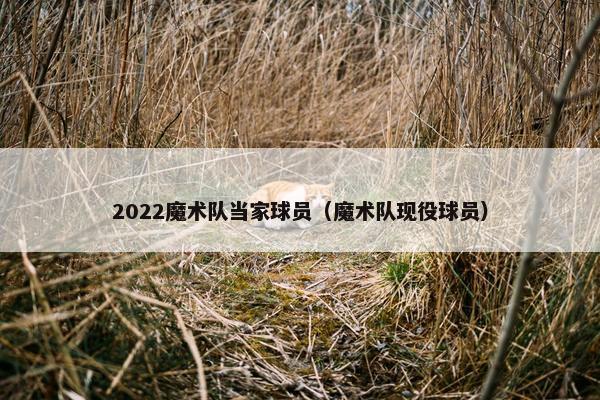 2022魔术队当家球员(魔术队现役球员) 2022魔术队当家球员(魔术队现役球员)