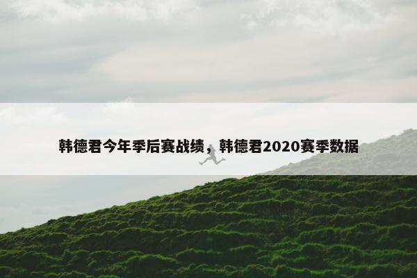 韩德君今年季后赛战绩，韩德君2020赛季数据