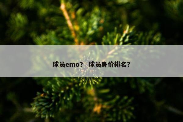 球员emo？ 球员身价排名？